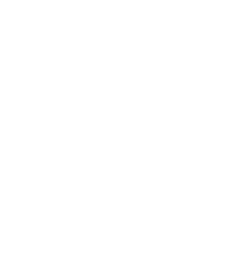 VA logo