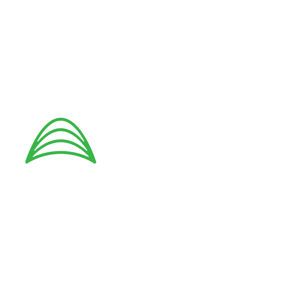 Home 29 Amentum Partnership with Accumentum