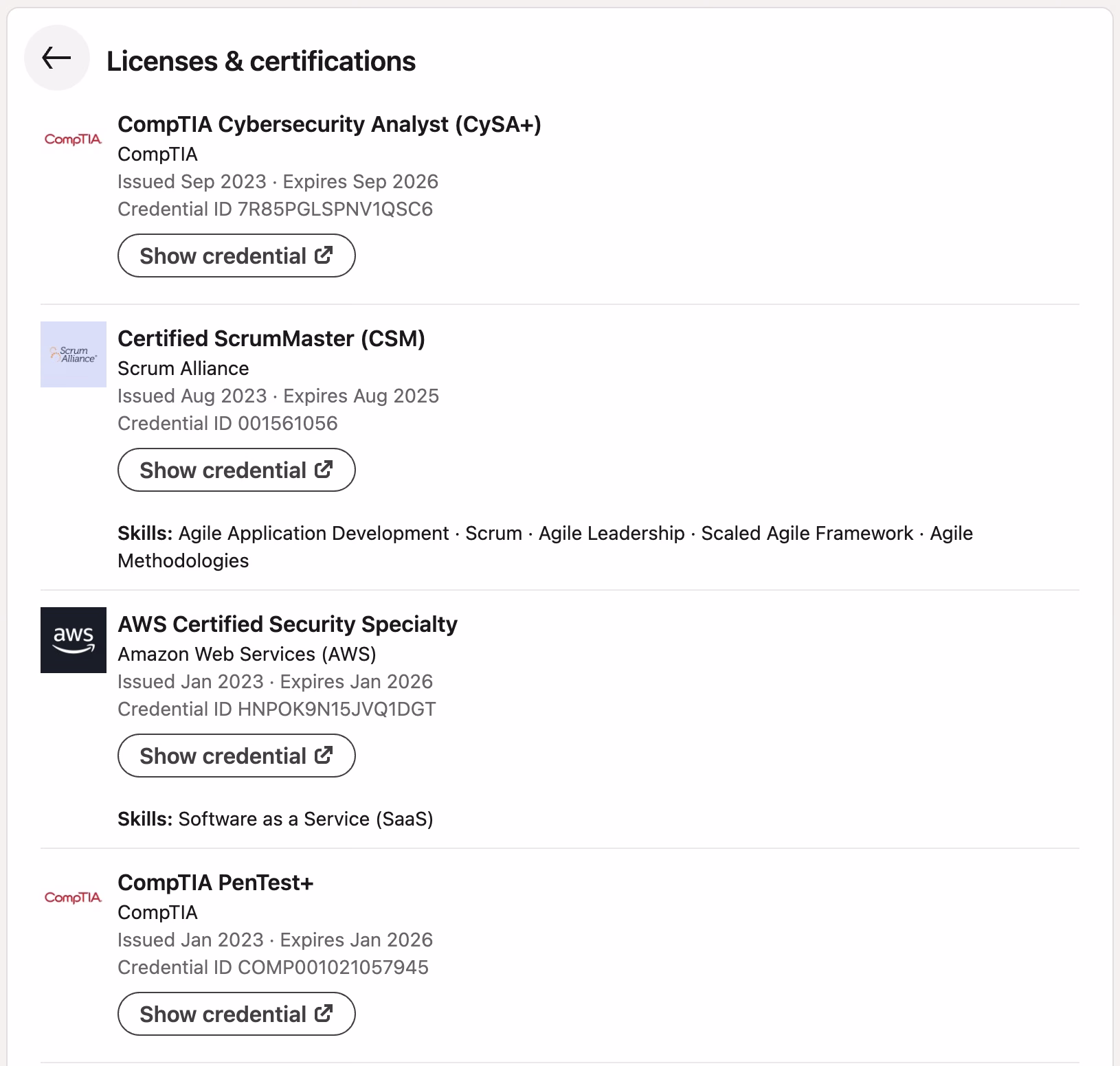 LinkedIn Optimization Program Example 5