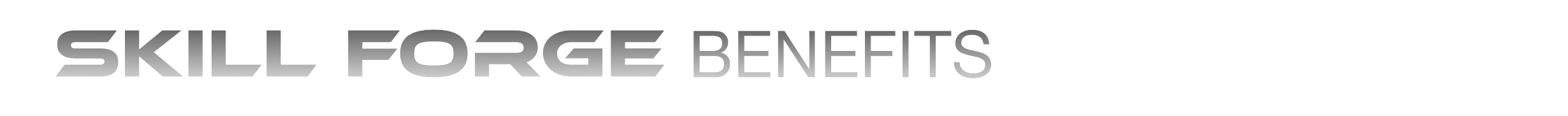 Veteran Skill Forge Training and Certification Program-Accumentum