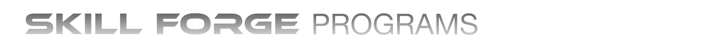 Veteran Skill Forge Training and Certification Program-Accumentum