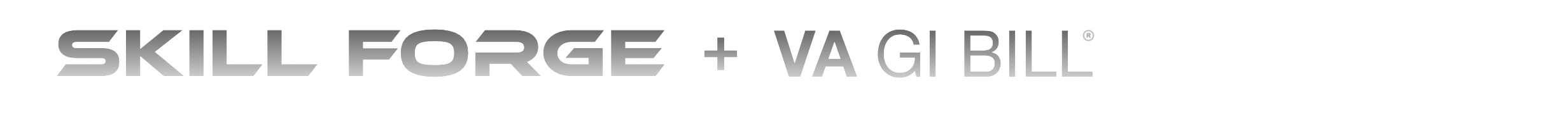 Veteran Skill Forge Training and Certification Program-Accumentum