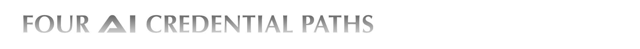 Choosing the Right AI Security Credential Path-Accumentum