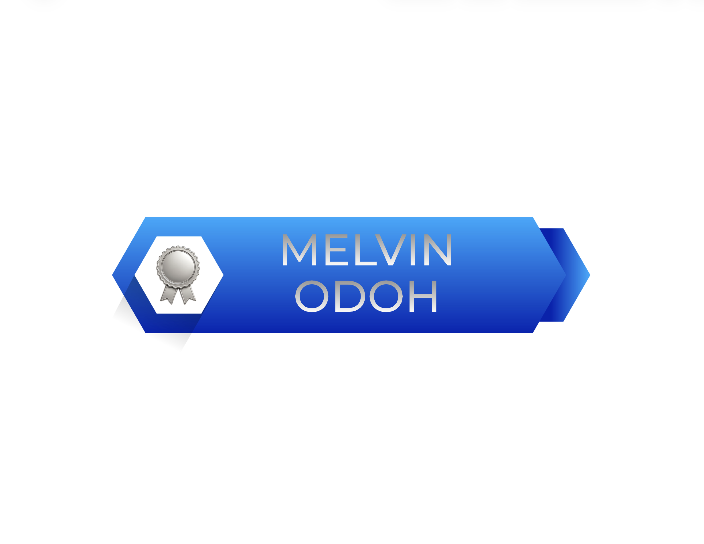 Alumni Success Profiles-Accumentum