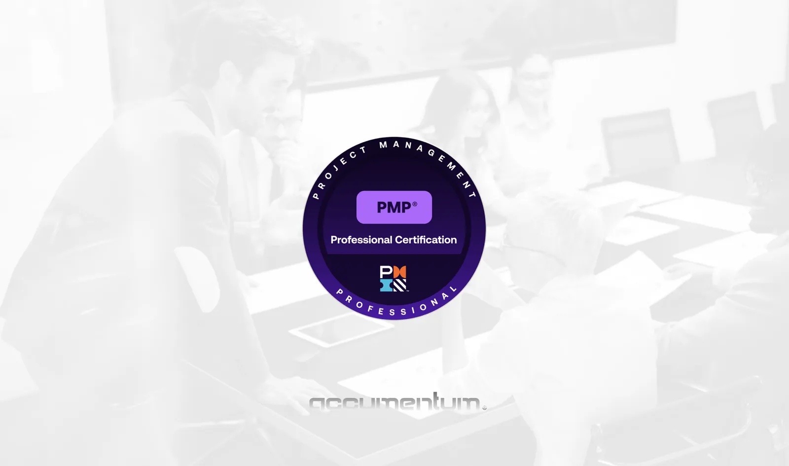 Accumentum PMI Project Management Professional PMP Training Course